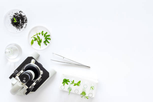 istock Biological research. Glass in test tubes with microscope on lab table 1277553308