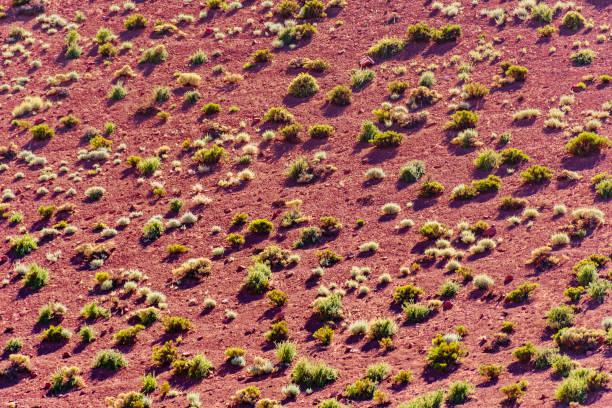 istock Shrubbery Hill, Brava Lagoon Reserve, La Rioja, Argentina 1277556002