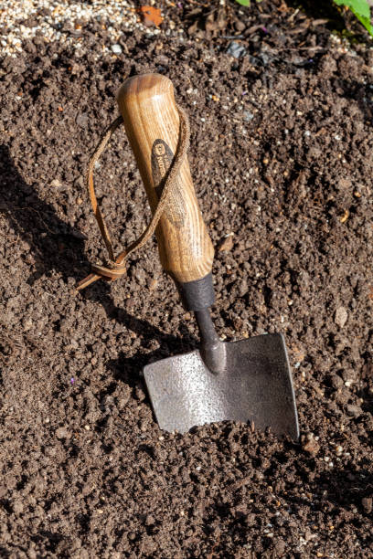 istock garden hand trowel 1277557946