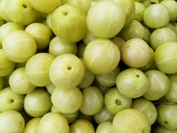 fresh and healthy gooseberry fruits in the market