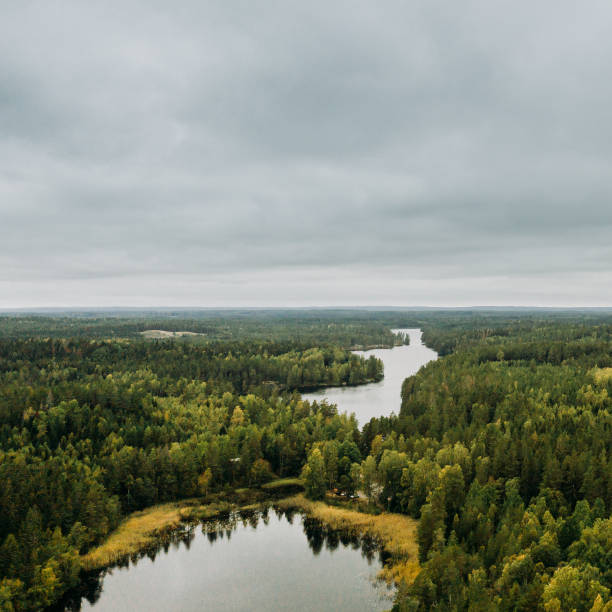istock View of forest and sky landscape in Sweden drone image 1277560116