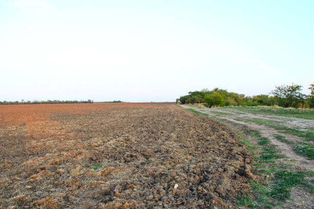 istock Plowed agricultural field at the evening 1277570405