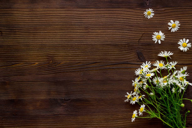 Wild chamomile flowers on a table top view, copy space.