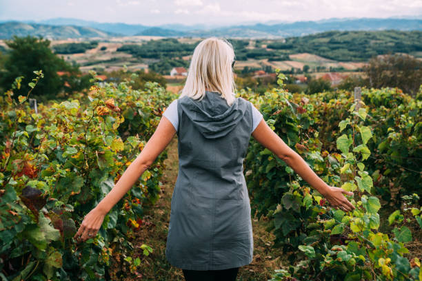 A Walk Through The Vineyards