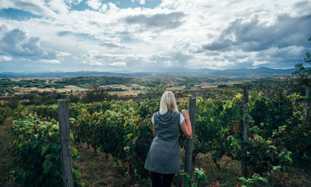 Standing On Top Of The Vineyards