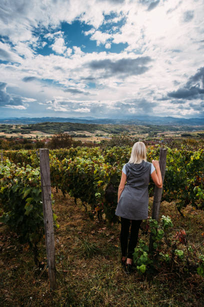 Enjoying The View In The Vineyards