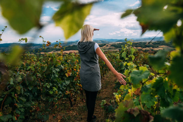 istock Look Into The Distance 1277572816