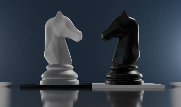 White and Black Plain Chess, Knights stock photo
