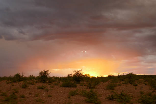 istock Sunset at Northern Tuli Region, Botswana 1277575563