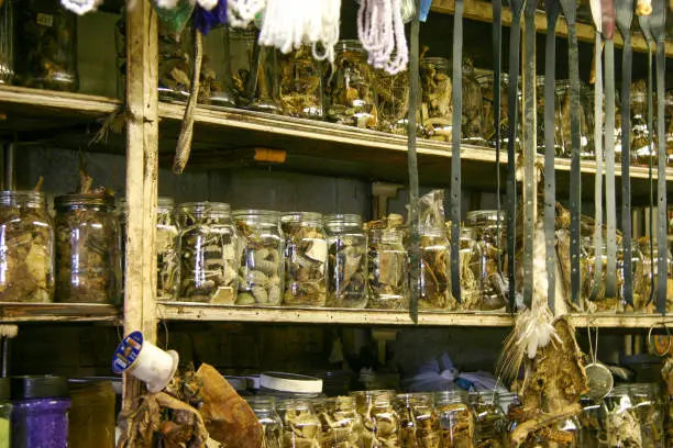 African traditional medicine makes use of various natural products, many derived from trees and other plants. Botanical medicine prescribed by an inyanga or herbal healer is generally known as "muti", but the term can apply to other traditional medical formulations, including those that are zoological or mineral in composition.