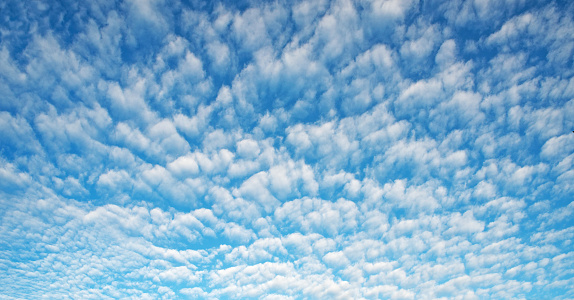 October, autumn, blue sky filled with small altocumulus clouds.