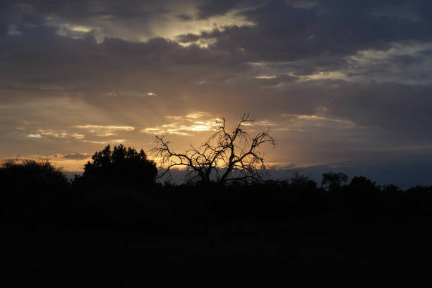 istock Sunset at Northern Tuli Region, Botswana 1277576146