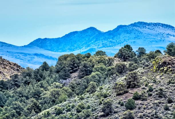 istock The rugged hills of Nevada 1277577562