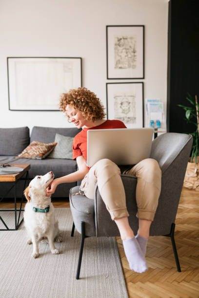 istock Smiling Caucasian woman working from home 1277579192