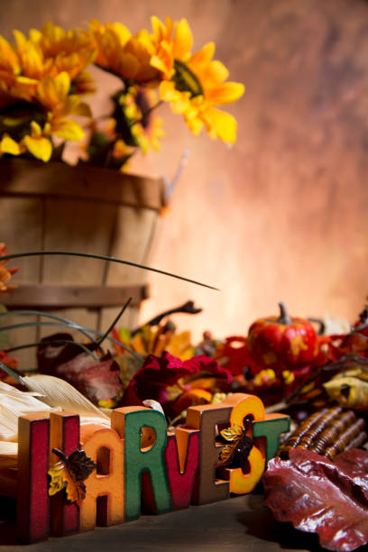 istock Autumn backgrounds in vibrant colors with copy space. 1277580877
