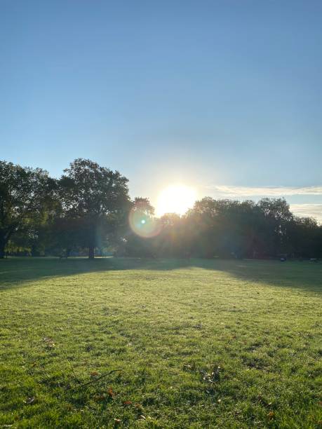 istock Sunday morning 1277581169