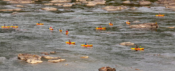 A group of kayakers are kayaking in Potomac river together. Knoxville, MD, 09/27/2020: A group of kayakers are kayaking in Potomac river together. They all have yellow red colored kayaks. Image was taken on Sandy Hook Bridge between Maryland and Virginia. virginia us state stock pictures, royalty-free photos & images