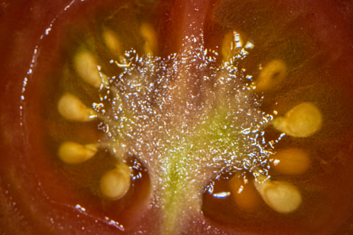 Cut fresh mini tomato close-up