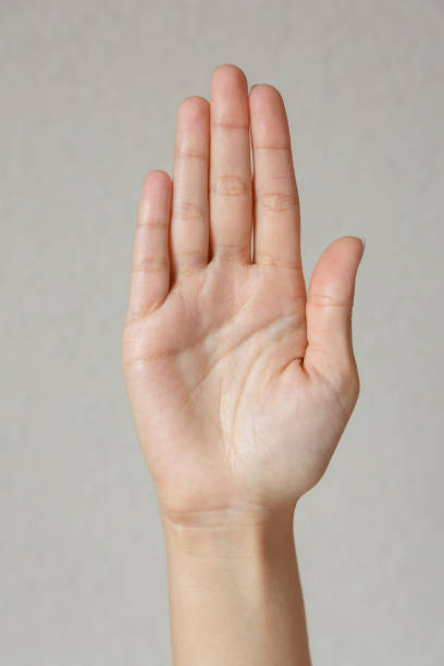 istock Gesture and sign, hand showing stop on a light background 1277583647