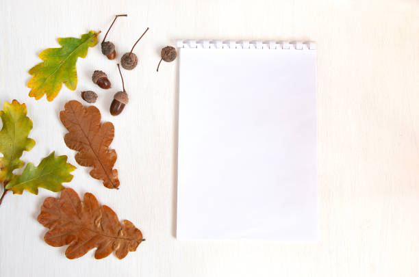istock Autumn composition. Dried leaves and acorns on a white background. Flat lay, top view, copy space 1277585142