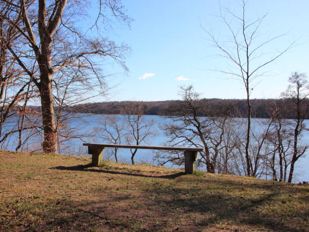 istock Empty Simple Wooden Bench with Lake Background 1277591132