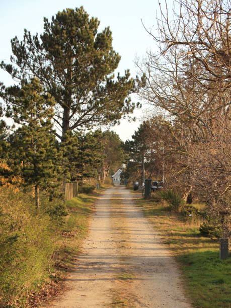 istock Empty Rural Gravel Road with Blue Sky 1277591489