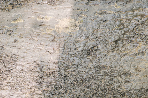 istock Rustic old stone texture for background and design concepts. the shadow. gray. geology. 1277594564