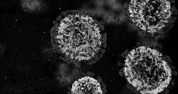 istock Microscopic COVID-19 Coronavirus Molecules Close Up Black and White - nCOV Influenza Virus Pathogen Under Macro Medical Lab Microscope 1277595624