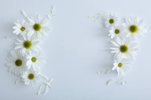 istock Beautiful floral arrangement with a place to insert text top view. 1277597758