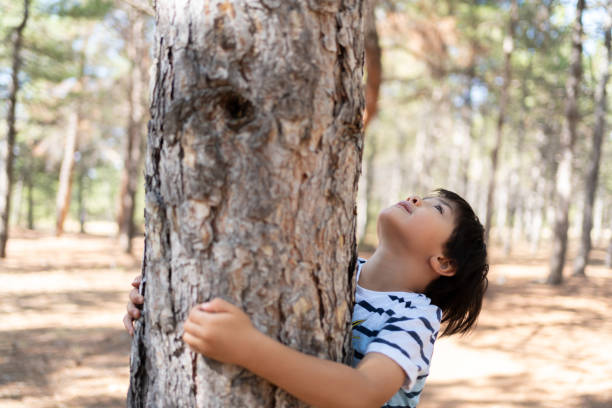 Little cute boy is hugging a tree in the forest