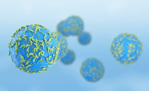 istock Lymphocyte, 3D illustration. Closeup view of T-cell or B-cell 1277599224