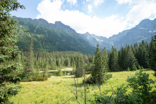 Tatra MountainsZakopane - Poland