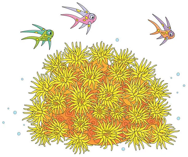 Vector illustration of Small colorful fishes over a sun anemone