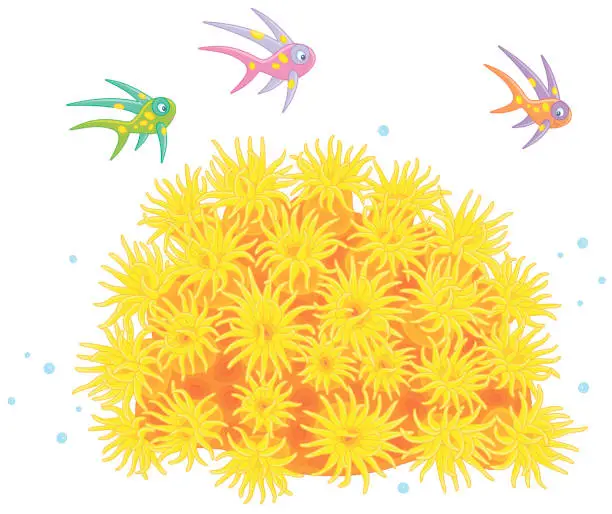 Vector illustration of Small colorful fishes over a sun anemone