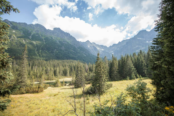 istock Tatra Mountains - Zakopane - Poland 1277602873