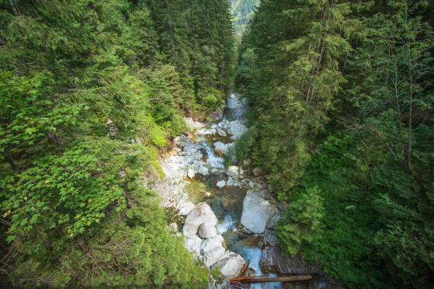 istock Tatra Mountains - Zakopane - Poland 1277602950