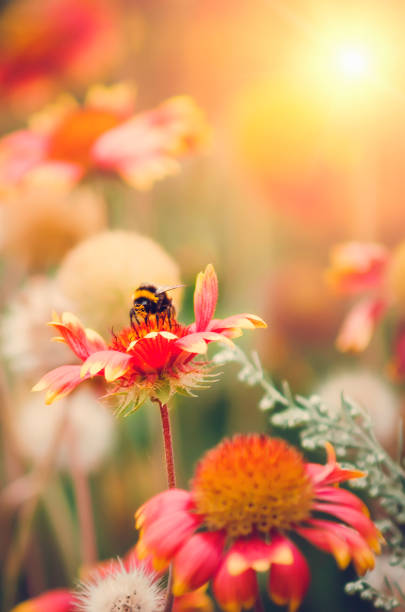 istock The bee is sitting on a flower. Vertical photography. 1277603144