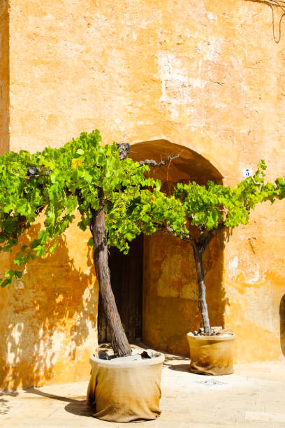 istock detail of a square 1277604140