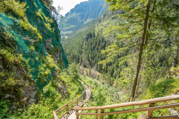 istock Koscieliska Valley - Tatra Moutains - Poland 1277604655