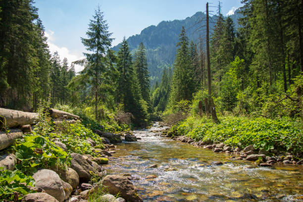 Koscieliska Valley - High Tatras National Park\nZakopane - Tatra Mountains\nPoland