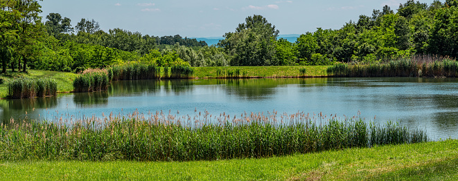 Panorama of Ljeskove vode lake. Green forest and blue sky in the background. Picnic area near Slavonski Brod, Croatia.