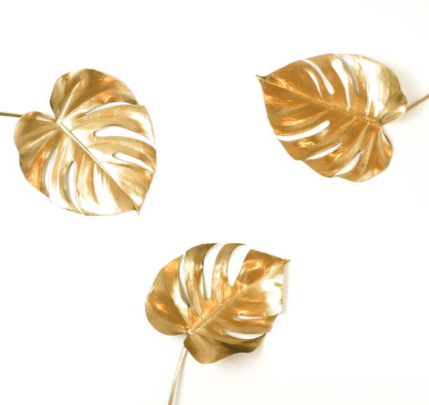 istock Gold monstera leaves frame isolated  on a white background. top view. copy space. floral card. 1277611117