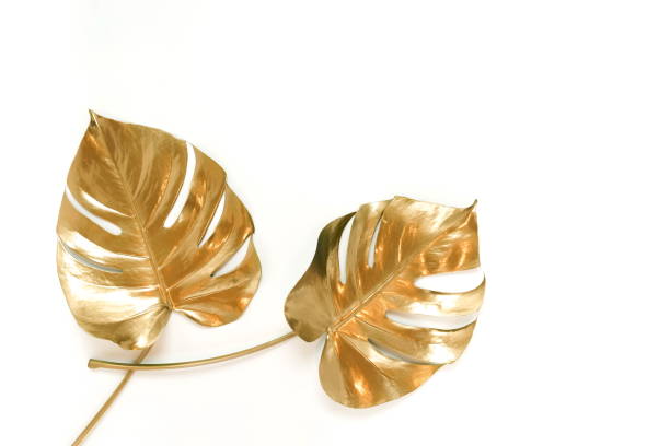 istock Gold monstera leaves frame isolated  on a white background. top view. copy space. floral card. 1277611976