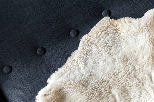 istock Natural white sheepskin covers dark gray sofa 1277612277