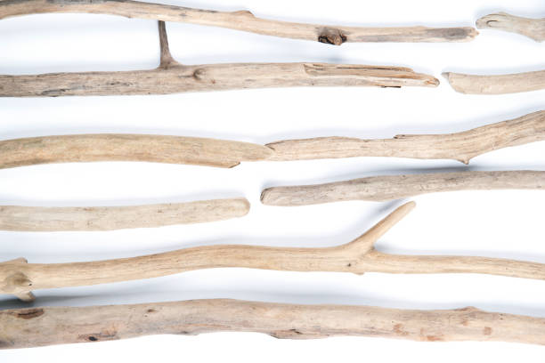 istock Set of different sizes and forms driftwood sticks isolated on white background. 1277612650