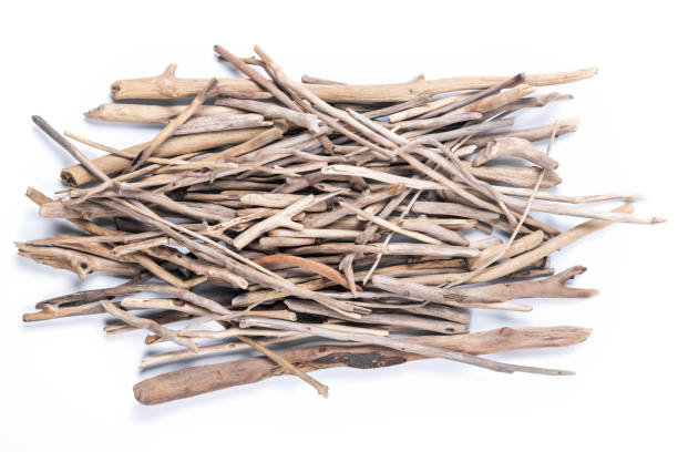 Weathered driftwood sticks heap isolated on white background.