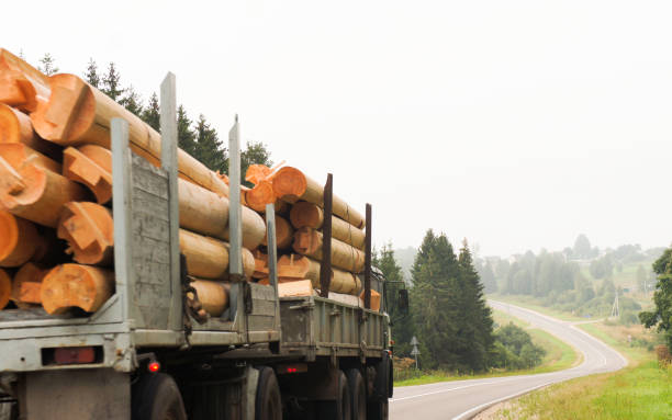 istock A huge powerful truck with two platforms, 1277612682