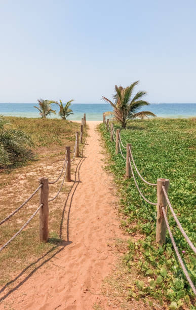 istock Beautiful sandy trail on the beach 1277614231