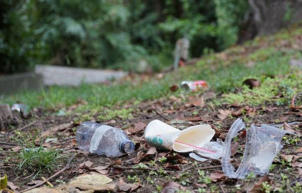 recipientes de lixo ou lixo se espalham no parque poluindo o meio ambiente e deteriorando o clima. - litter - fotografias e filmes do acervo