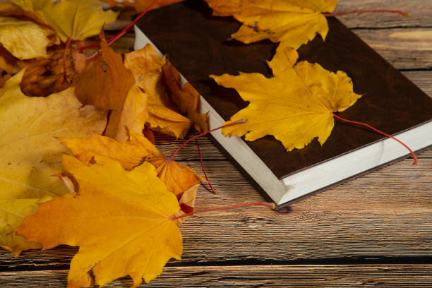 istock The book is on the table covered with autumn leaves. 1277616208